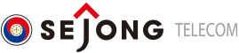 logo-sejong