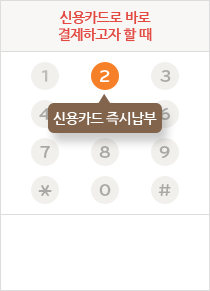 신용카드로 바로 결제하고자 할 때 - 1번 신용카드 즉시납부